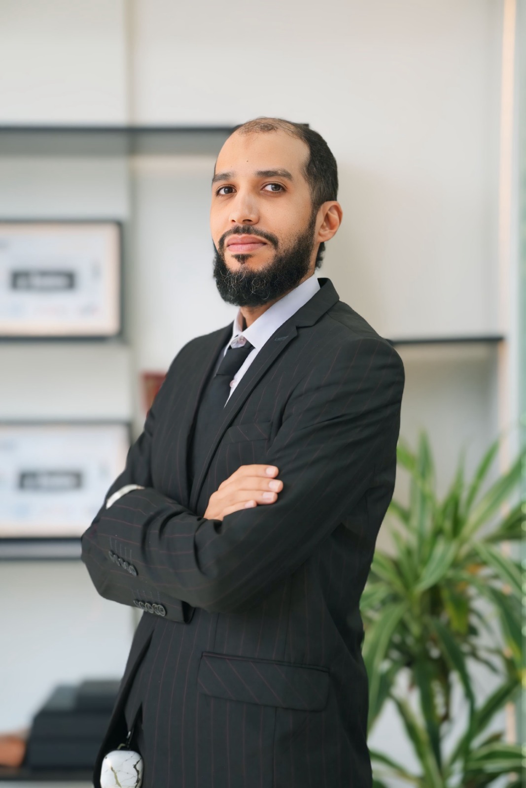 Luxury Real Estate Agent